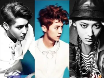 Qui est le seul Chinois qui reste avec EXO ?