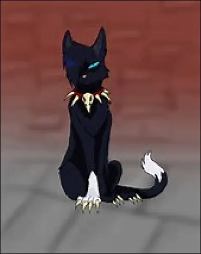 Qui est le demi-frere d'Etoile de Feu ?