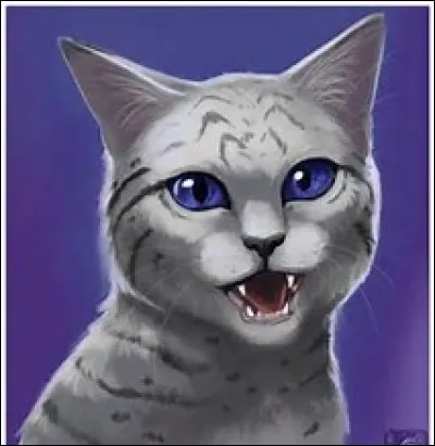 Qui &eacute;tait le mentor d'Etoile de Feu ?