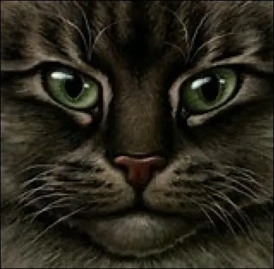 Quel mot doit &ecirc;tre dans le nom des chats quand ils deviennent apprentis ?