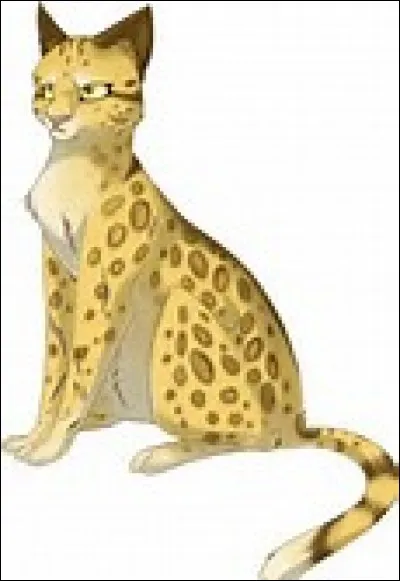 Quand les chats deviennent chefs, quel mot doit &ecirc;tre dans leur nom ?