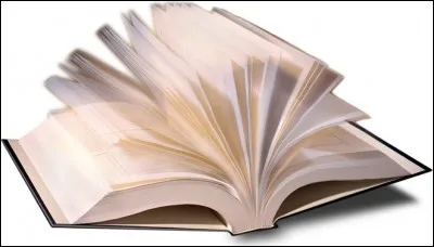 Qui a déjà écrit un livre?