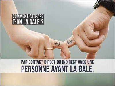 Galeuse ou en transhumance !