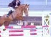 Quiz Sports et Disciplines Equestres