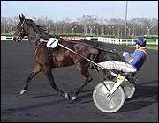 A quelle allure se court ce type de course attele, au tierc ?