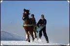 Comment est appele cette discipline, o le cheval tire un homme sur des skis ?