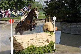 Quelle est cette discipline questre ?