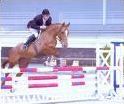 Quiz Equitation