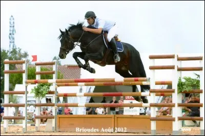 Comment appelle-t-on une discipline où on pratique du CSO + du dressage + du cross ?