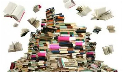 Sur le site, on peut jouer à des quiz de culture ____.