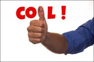 Nous avons la possibilité de jouer à ____ de quiz que l'on souhaite !