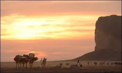 Qui est le jars, quand il n'est pas le mâle de l'oie ?