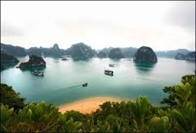 Si l'âne n'est pas un animal, qu'est-il ?