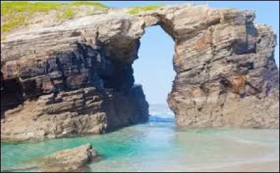 [E n @] est la phonétique d'un mot ayant des homophones. À quelle partie du corps cela peut-il correspondre ?