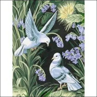 Quel est "le plus grand des maux" dans la fable de La Fontaine "Les Deux Pigeons" ?