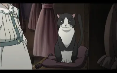 Comment s'appelle-t-il ? De qui est-il le chat ?