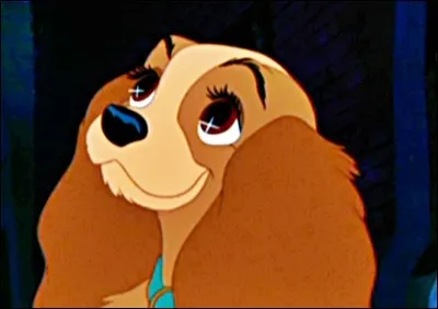 Trouve l'animal représentant Lady, de "La Belle et le Clochard" !