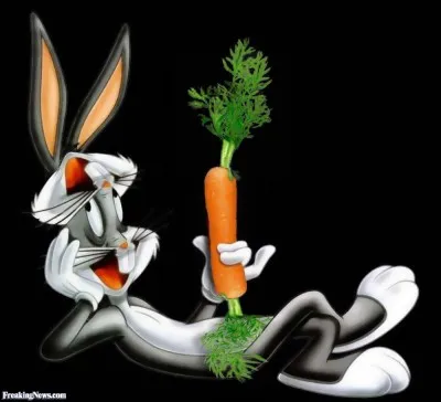 What's up Doc ?