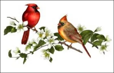 Comment Henri II est-il mort en 1559 ?