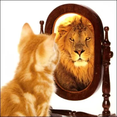 As-tu confiance en toi ?