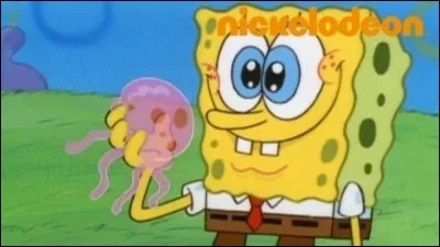 Quelle est la passion de Bob et de son meilleur ami ?