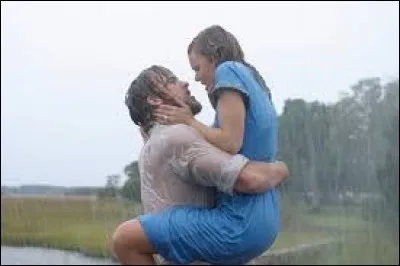 Le film "N'oublie jamais", sorti en 2004, est adapté d'un roman d'amour de Nicholas Sparks, publié en 1996. Quel est son titre ?