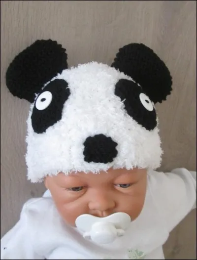 Quel est le record de longévité d'un panda ?