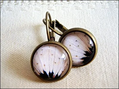 Quel est le nom de ces boucles d'oreilles ?