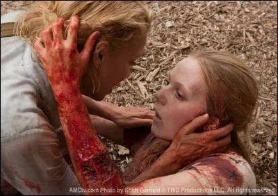 Saison 1, épisode 5 : Andréa fait le deuil de sa sur ; elle lui donne un pendentif, quel est le motif ?