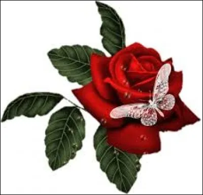 En génétique, antonyme de "intron" :