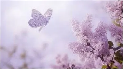 Charge pesante, fardeau :