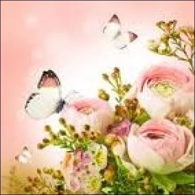 Arbre toujours vert à feuilles luisantes et piquantes, dont le fruit est une baie rouge :