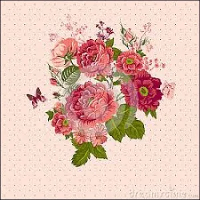 Antonyme de "rêche, rugueux" :