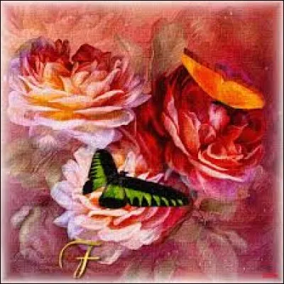 Matière résineuse gluante et noire :