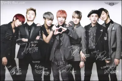 Quel est le nom du groupe ?