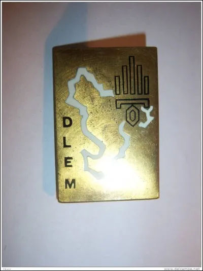 Parmi ces trois possibilités de réponses, quelle unité de l'armée se trouve à Mayotte ?