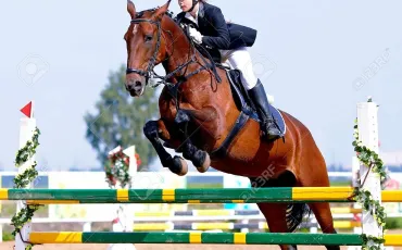 Quiz Galop 3