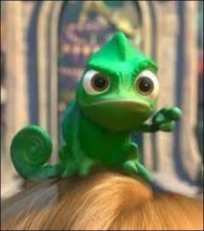 Quel est cet animal ?