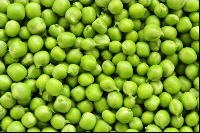 Les petits pois appartiennent au groupe des :