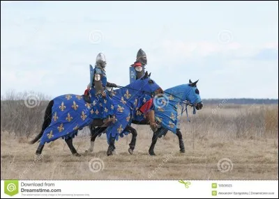 Combien de chevaux possédait un chevalier ?