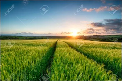 Comment s'appelaient les terres d'un seigneur ?