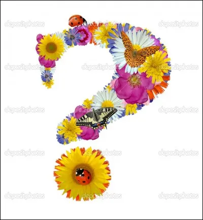 La "dengue" est une fleur.