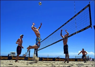 Quel joueur a été champion olympique de volley-ball et de beach-volleyball ?