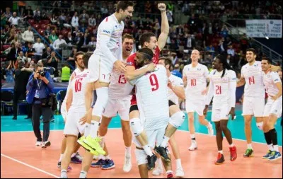 Quel joueur français a évolué en équipe de France à 3 postes différents (réceptionner, central, pointu) ?