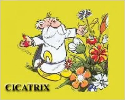 Voici un druide qui ferait plaisir aux fleuristes. Cicatrix a inventé une potion qui permet de faire pousser des fleurs instantanément. Il apparaît dans l'album ...