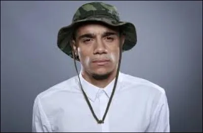 Quelle est l'activité de Mister V, à part YouTubeur ?