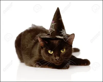 Es-tu superstitieux(se) ?