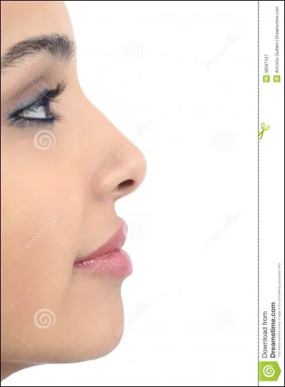 Quelle est ta senteur préférée ?