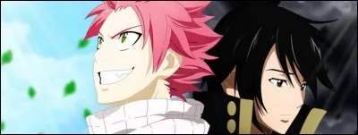 Combien d'épisodes compte "Fairy Tail" ?