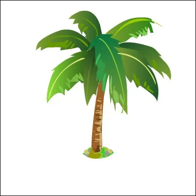 Quel est son deuxième surnom ?